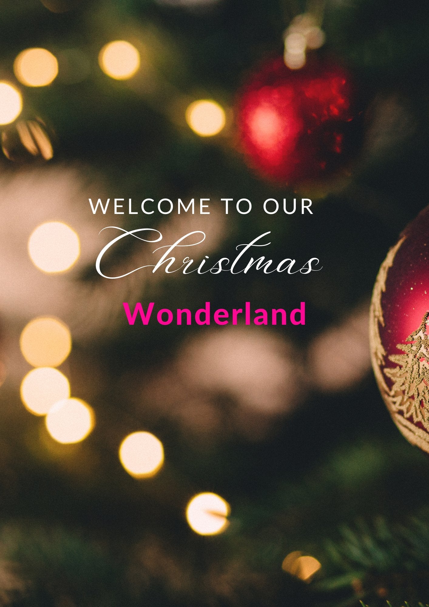 our chrismas wonderland is  where.ypu book your xmas evenfs 